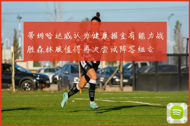 蒂姆哈达威认为健康掘金有能力战胜森林狼值得再次尝试阵容组合
