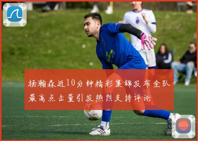 杨瀚森近10分钟精彩集锦发布全队最高点击量引发热烈支持评论